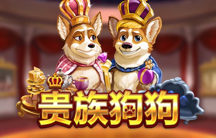云体育官网入口app